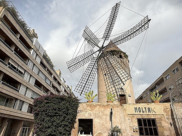 Hidden Palma. (C) Andy Mossack