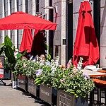 Cardinal Bar & Kitchen Terrace