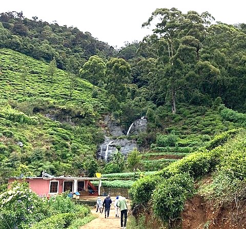 Food and Trekking in Sri Lanka.