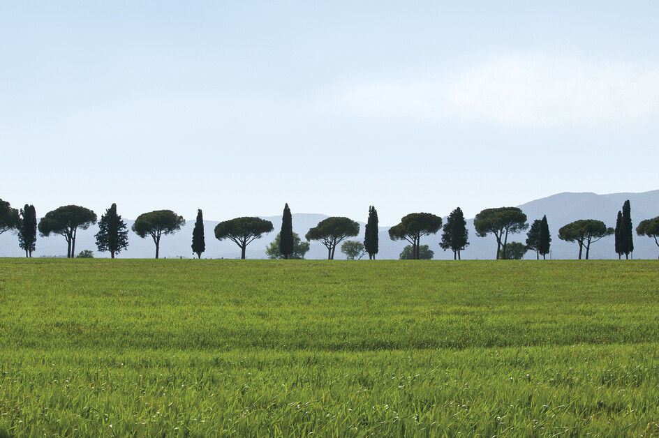 L’Andana. A Wonderful Five-Star Resort In A Secret Coastal Corner Of Tuscany