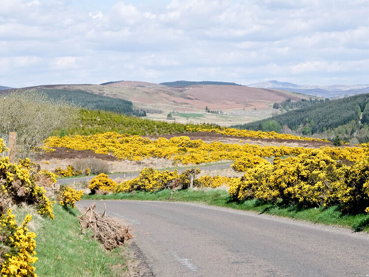 Guide to E-Biking around Alyth.