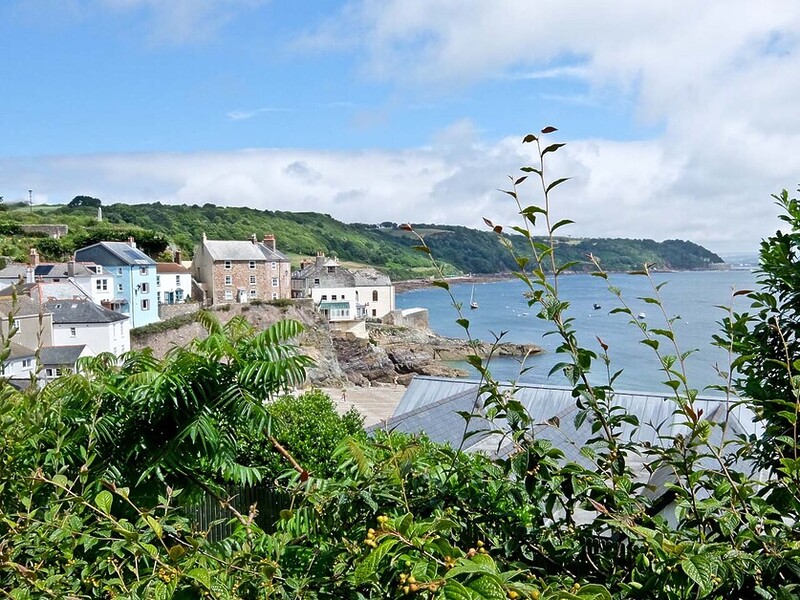 Rupert Parker Hikes part of the Salt Path, The Stunning South West Coast Path Either Side Of Plymouth.