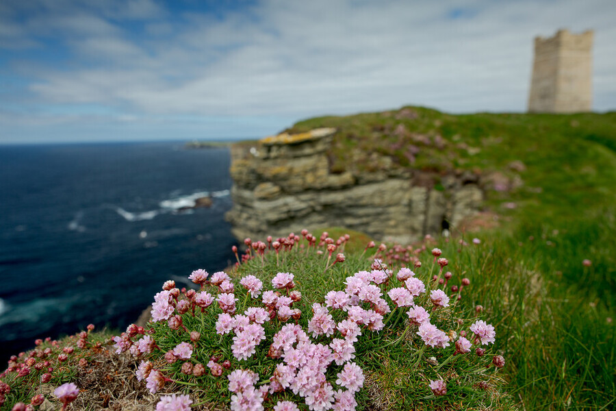 Clare Jenkins slows down and heads up to ‘The Magnetic North’ for her Insider Guide to Orkney.