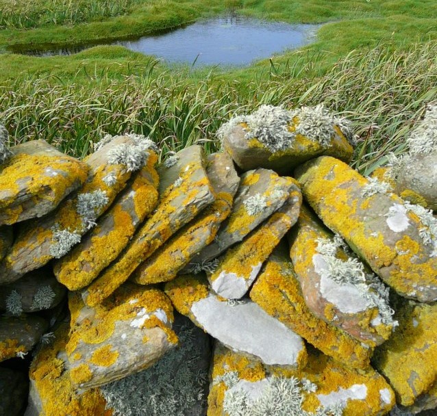 Clare Jenkins slows down and heads up to ‘The Magnetic North’ for her Insider Guide to Orkney.