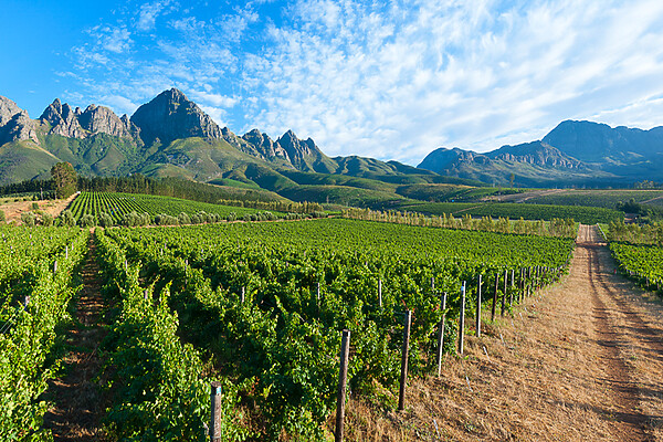 Sarah Kingdom checks into Erinvale Estate Hotel & Spa, and discovers a Cape Winelands escape that combines heritage, gastronomy, golf and relaxation.