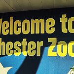 Stuart Forster visits Chester Zoo to learn about its noble conservation commitment.