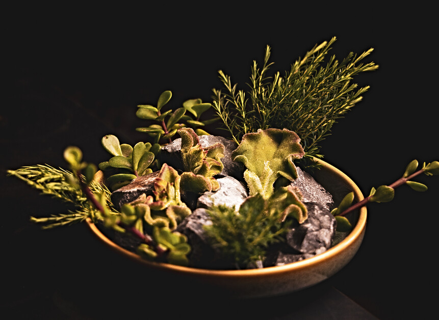 Sarah Kingdom discovers hotel elegance at the Cape Town Waterfront with Queen Victoria Hotel, Dock House Boutique Hotel and Victoria & Alfred Hotel offering three distinctly different stays.