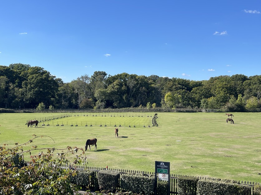 David Powell stays at the The Balmer Lawn Hotel a grand heritage property offering a luxury retreat in the New Forest