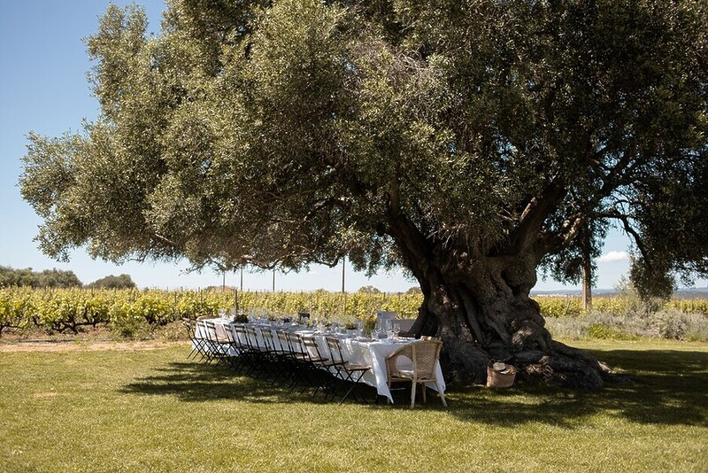 Lynne Coates discovers some of the region’s lesser known destinations in her personal guide to the Algarve.