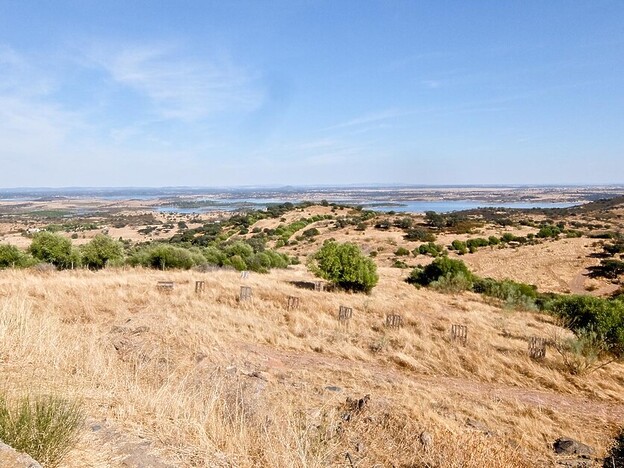 Insider Guide To Alentejo.