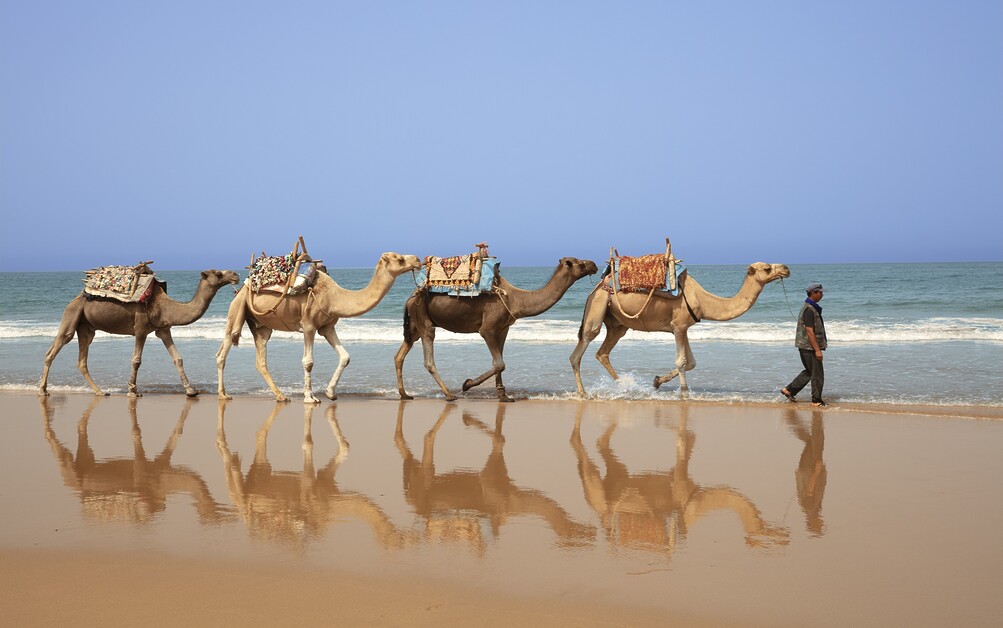 Kasbah d’eau at Sidi Kaouki. Discover the authentic Morocco