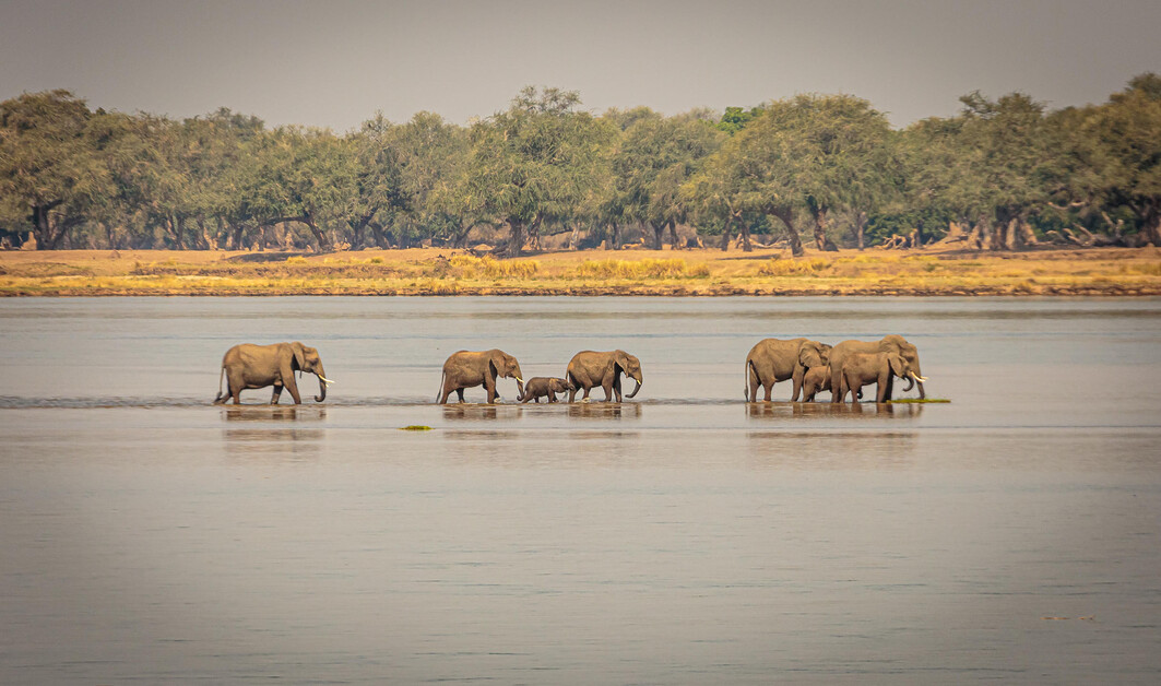 Sarah Kingdom unwinds at the Royal Zambezi Lodge just outside of the Lower Zambezi National Park