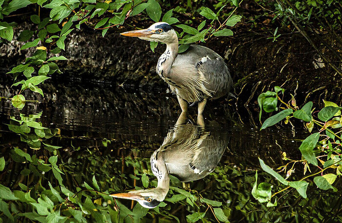 Black Prince Canal Boat Holidays. Discover the wonder of a Self-Drive Canal Cruise