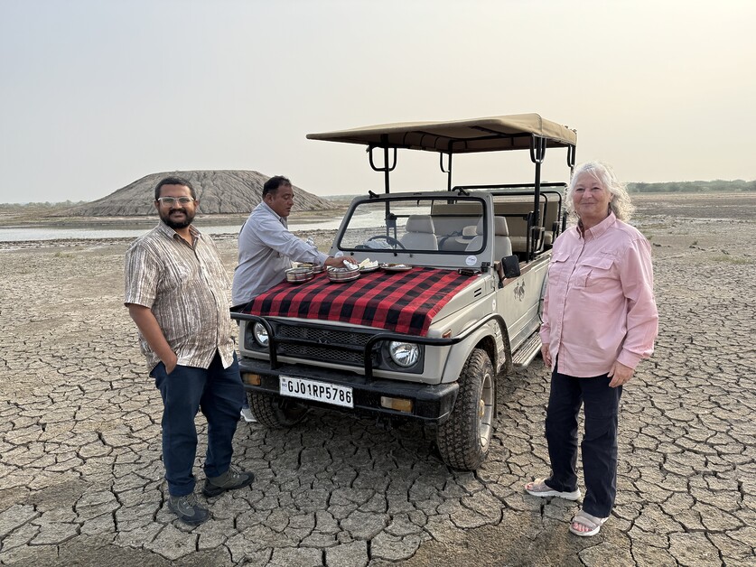Insider Guide to Gujarat. Discover India’s Unmissable Hidden Jewel.