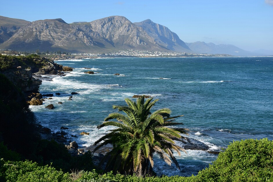 Sarah Kingdom travels to Hermanus on South Africa’s Whale Coast, and discovers a destination where breaching whales, vineyard lunches, coastal trails and boutique comfort come together in one seaside escape.