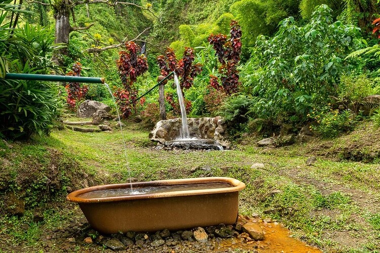 Judith Baker offers her insider guide to Dominica and asks if this is the eco-tourism Caribbean capital  of 2026?