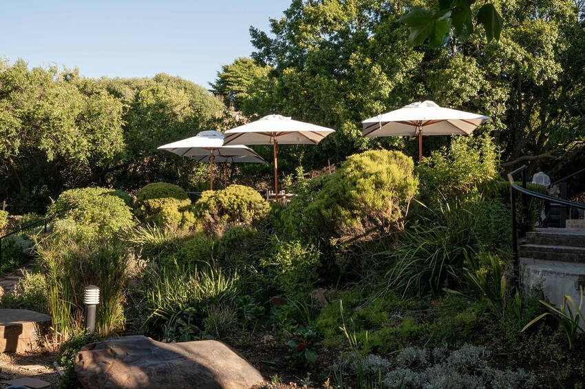 Sarah Kingdom eats at Wilde Vy Bistro not that far from Cape Town on the Durbanville Wine Route.