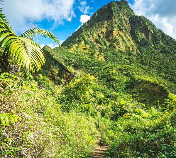 Judith Baker offers her insider guide to Dominica and asks if this is the eco-tourism Caribbean capital  of 2026?