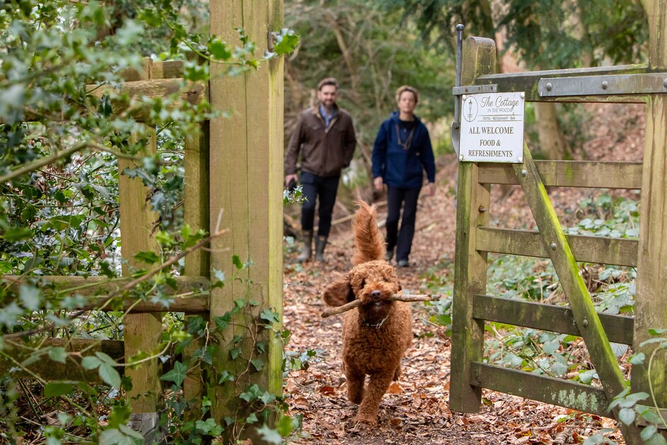 The Cottage in the Wood. Discover brilliant boutique luxury perched in the Malvern Hills.