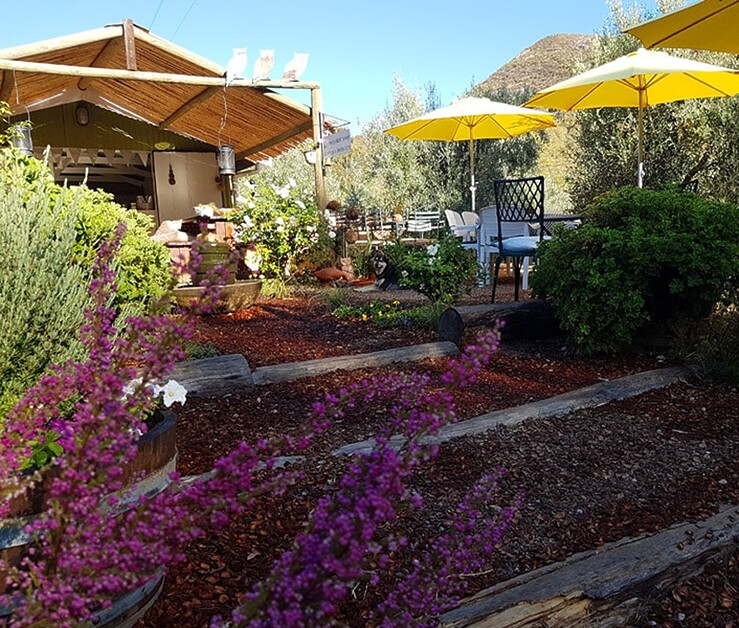 Sarah Kingdom visits the town of Robertson, not far from Cape Town, and discovers why the area is known as the valley of wine, horses and roses.
