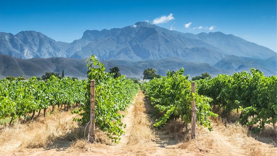 Sarah Kingdom visits the town of Robertson, not far from Cape Town, and discovers why the area is known as the valley of wine, horses and roses.