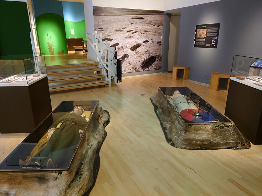 The Saxons Exhibition unveiled at Discover Bucks Museum.