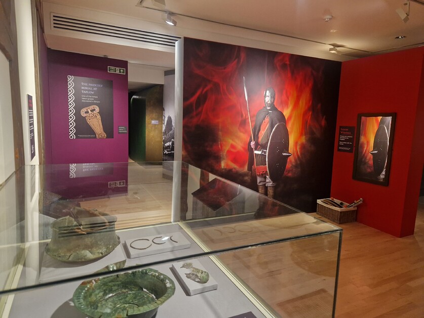 The Saxons Exhibition unveiled at Discover Bucks Museum.