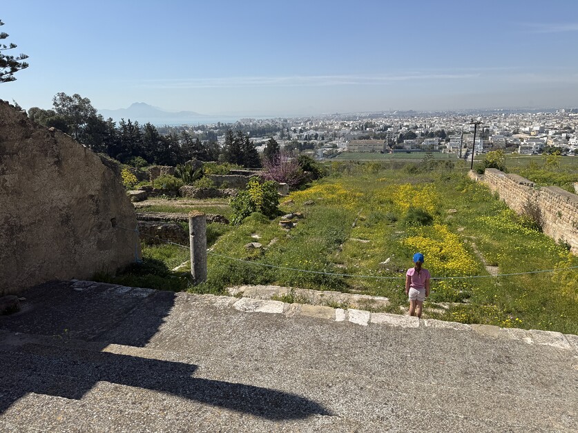Andy Mossack tries out Tunisia for Multi-Generational Holidays as he travels with his three-generational family, road testing some excellent tours to suit all ages.