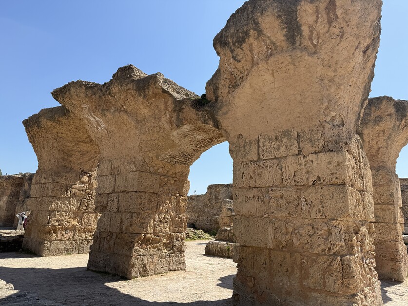 Andy Mossack tries out Tunisia for Multi-Generational Holidays as he travels with his three-generational family, road testing some excellent tours to suit all ages.