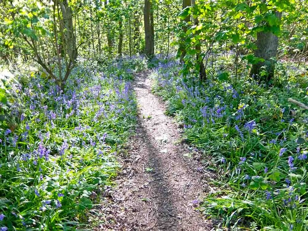 Rupert Parker goes biking and walking the Leicestershire National Forest.