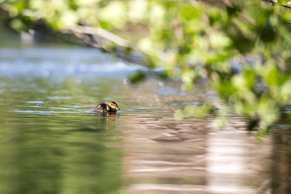 Andy Mossack stays at Bainland Lodge Retreats and enters a world of sustainable luxury.