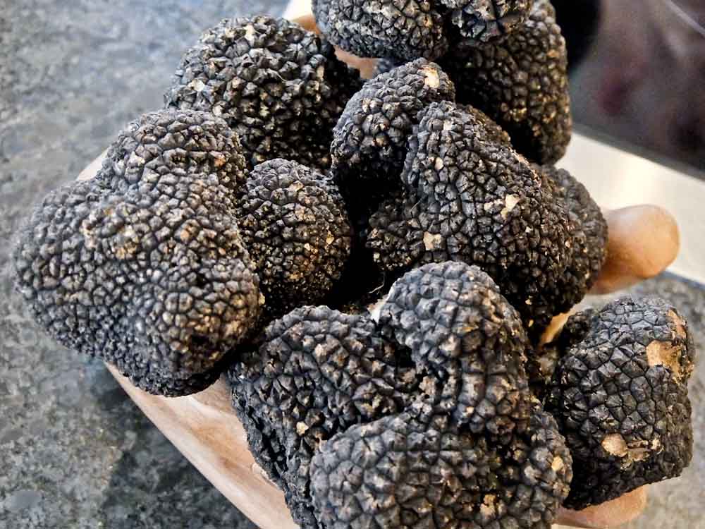 Rupert Parker Goes Truffle Hunting, just one of the many delights awaiting In His Insider Guide To Istria.