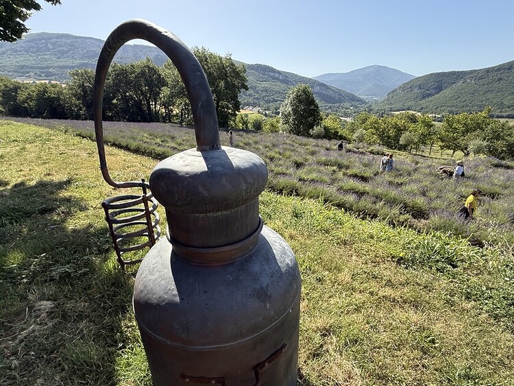 Andy Mossack travels to the sumptuous Auvergne-Rhône-Alpes to uncover lavender fields, hidden palaces, and living well beside the Rhone River.