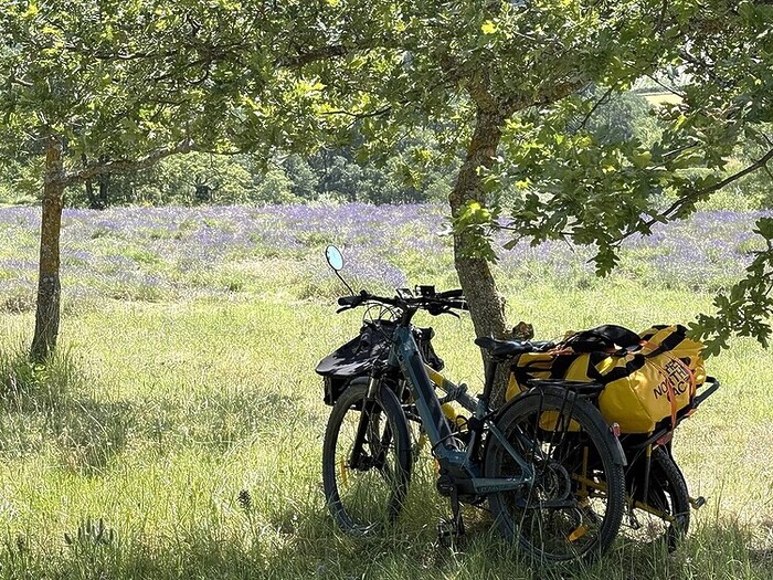 Andy Mossack travels to the sumptuous Auvergne-Rhône-Alpes to uncover lavender fields, hidden palaces, and living well beside the Rhone River.