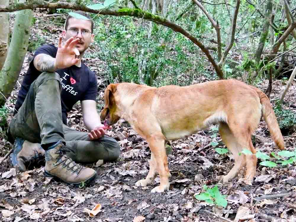 Rupert Parker Goes Truffle Hunting, just one of the many delights awaiting In His Insider Guide To Istria.