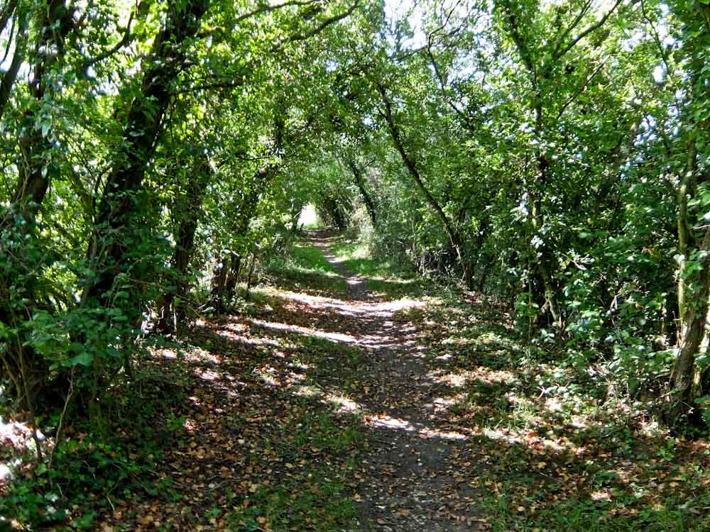 Rupert Parker Discovers Great Yarmouth hiking trails offer more than just seaside resort breaks.