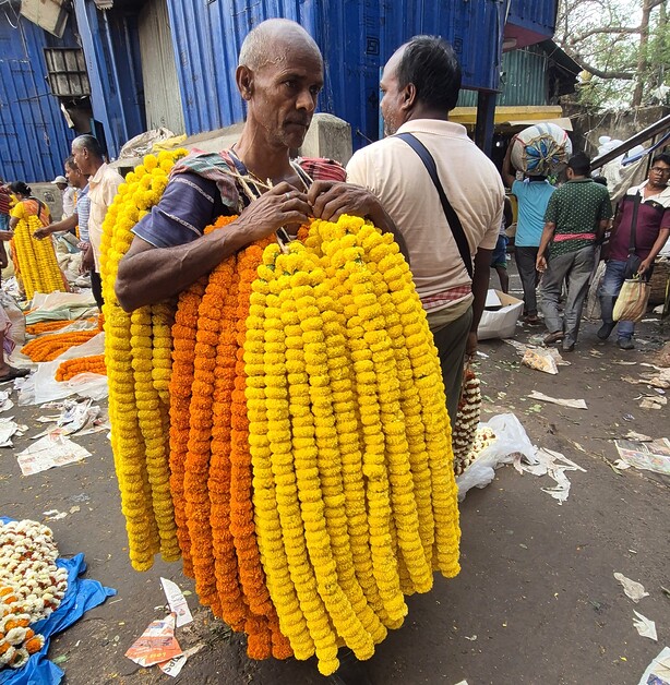 Mark Nicholls Suugests What to do and where to go when you spend 48 hours in Kolkata, the City of Joy.