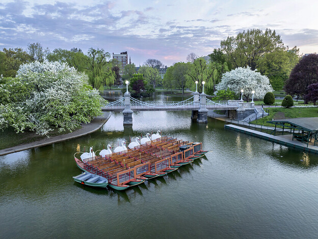 In her Guide to Boston, Helen Johnston Encounters a complex history of revolution, slavery and a hit sitcom on a solo trip to Boston