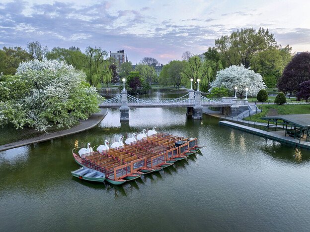 In her Guide to Boston, Helen Johnston Encounters a complex history of revolution, slavery and a hit sitcom on a solo trip to Boston