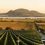 Insider Guide to Moravia