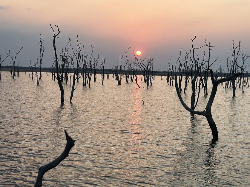 ichael Edwards sails aboard CroisiAfrica’s Safari Cruise and collects passport stamps from South Africa, Botswana, Namibia and Zimbabwe