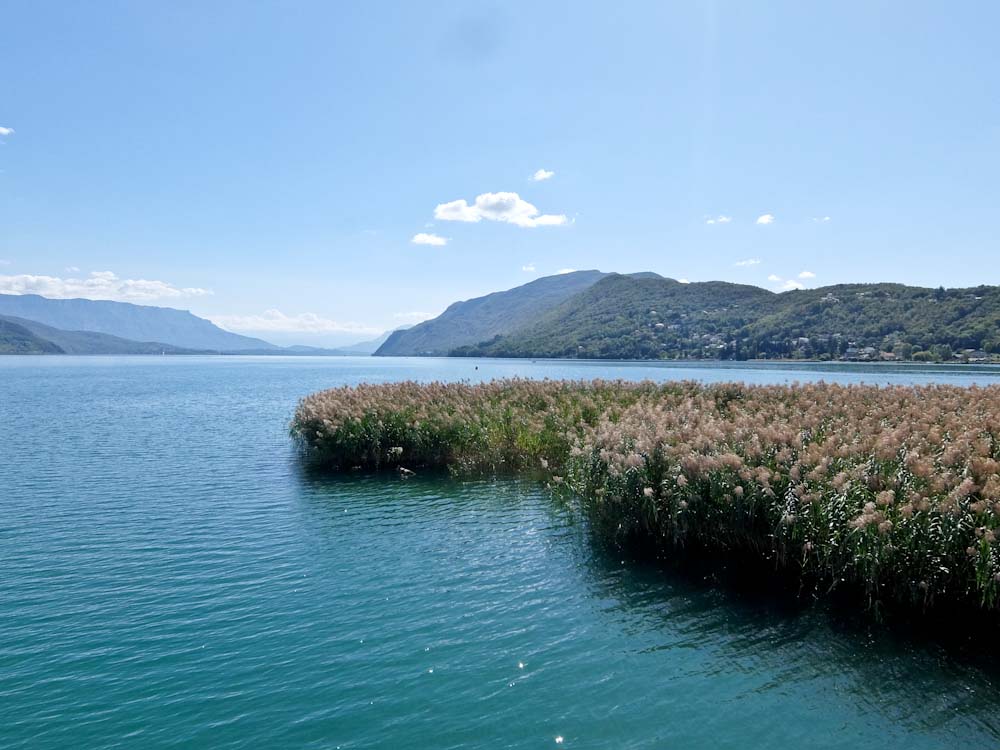 Rupert Parker gets on his bike for some intrepid cycling  by the Rhône following the ViaRhôna in France.