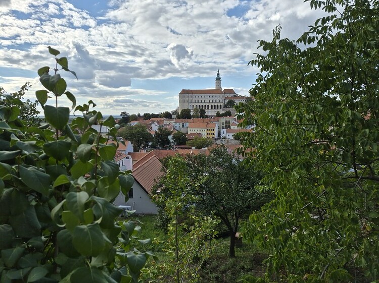 Lynne Wallis offers up her insider guide to Moravia’s gastronomy and wines while delving into its fascinating history.