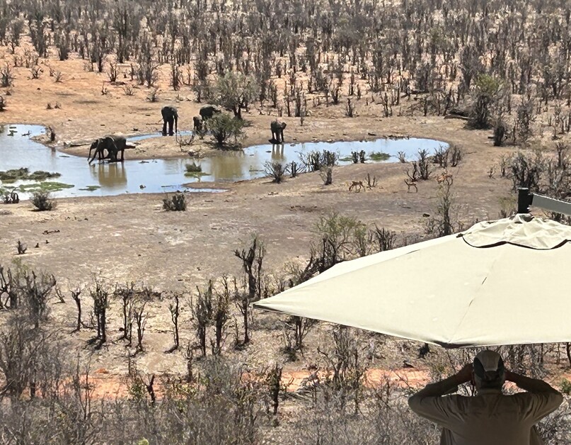 ichael Edwards sails aboard CroisiAfrica’s Safari Cruise and collects passport stamps from South Africa, Botswana, Namibia and Zimbabwe