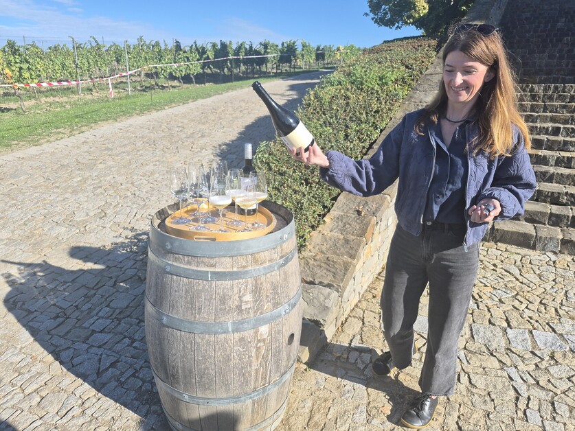 Lynne Wallis offers up her insider guide to Moravia’s gastronomy and wines while delving into its fascinating history.